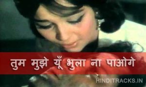 Tum Mujhe Yun Bhula na paoge lyrics in Hindi