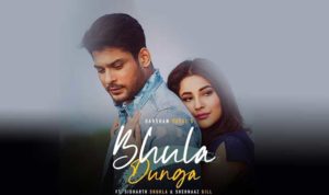 Bhula Dunga Lyrics in Hindi