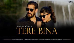 Tere Bina Lyrics in Hindi Salman Khan