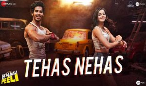 Tehas Nehas lyrics in Hindi