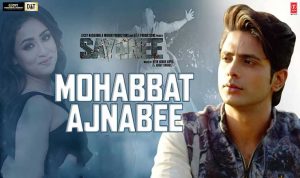 Mohabbat Ajnabee Lyrics in Hindi