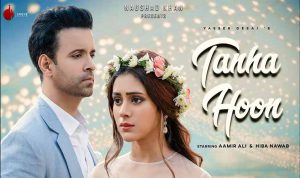 Tanha Hoon Lyrics in Hindi