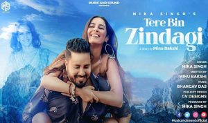 Tere Bin Zindagi lyrics in Hindi