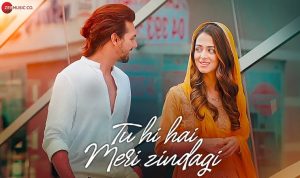 Tu Hi Hai Meri Zindagi Lyrics in Hindi