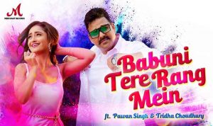 Babuni Tere Rang Mein Lyrics in Hindi