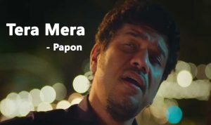 Tera Mera lyrics in Hindi