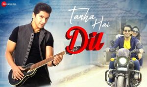 Tanha Hai Dil Lyrics in Hindi Shaan