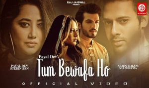 Tum Bewafa Ho Lyrics in Hindi