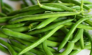 फ़रस बीन (French Beans)