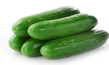 हरा खीरा (Green Cucumber)