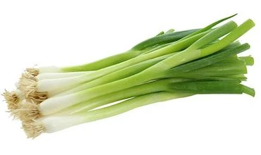 हरा प्याज़ (Spring Onion / Onion Leaves)