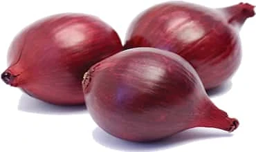 प्याज़ (Onion)