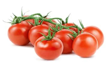 टमाटर (Tomato)