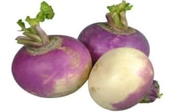 शलगम (Turnip)