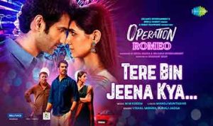 Tere Bin Jeena Kya lyrics in Hindi