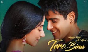 Tere Bina Lyrics in Hindi