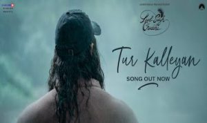 Tur Kalleyan Lyrics in Hindi