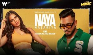 Naya Nazariya lyrics in Hindi