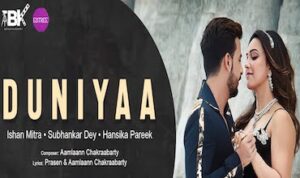 Duniyaa lyrics in Hindi