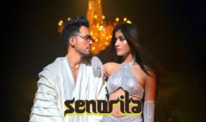 Senorita Lyrics in Hindi