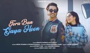 tera ban gaya hoon lyrics in Hindi