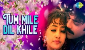 tum mile dil khile lyrics in Hindi