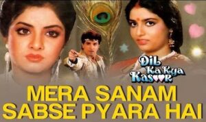 Mera Sanam Sabse Pyara Hai Lyrics in Hindi