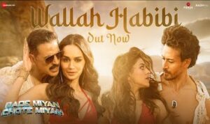 wallah habibi lyrics in Hindi